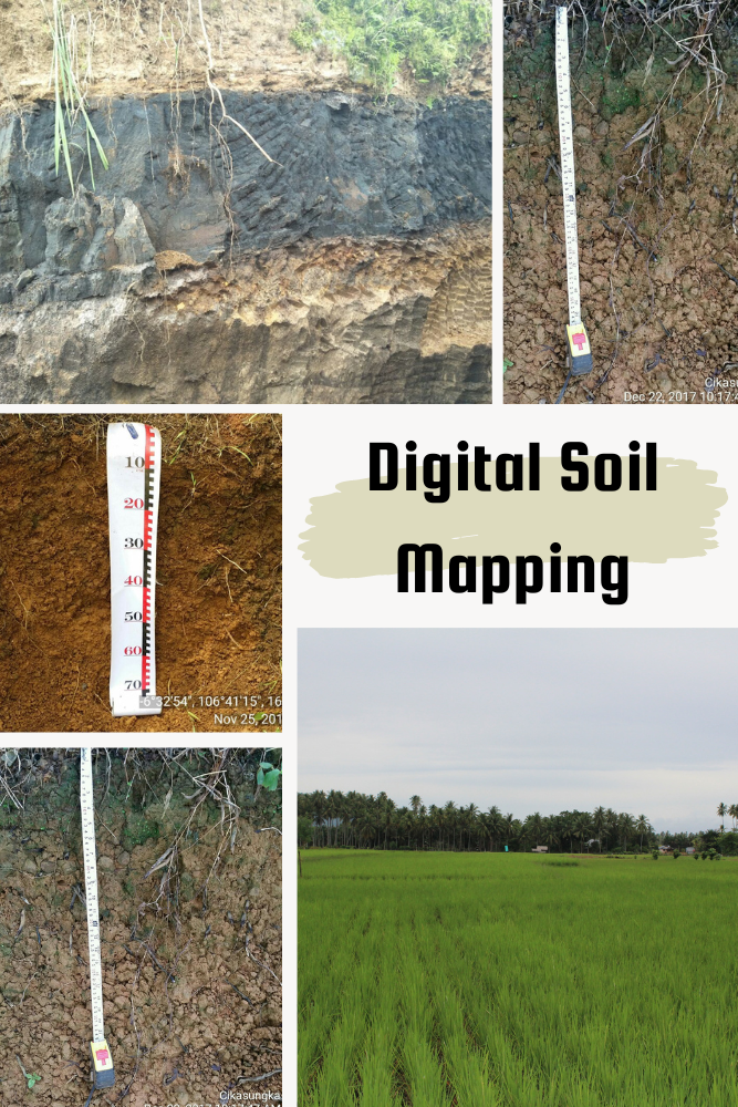 Soil Scientist observing the ground